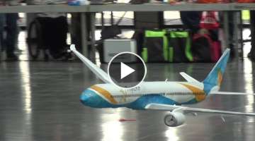 Big RC Indoor Warthog Airliner and Horten Jet Airplane Airliner