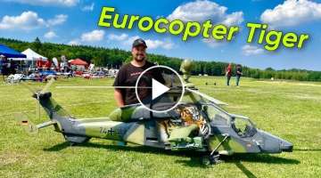 Amazing Giant RC Eurocopter Tiger Scale 1:4,8 with Turbine from Heli Factory
